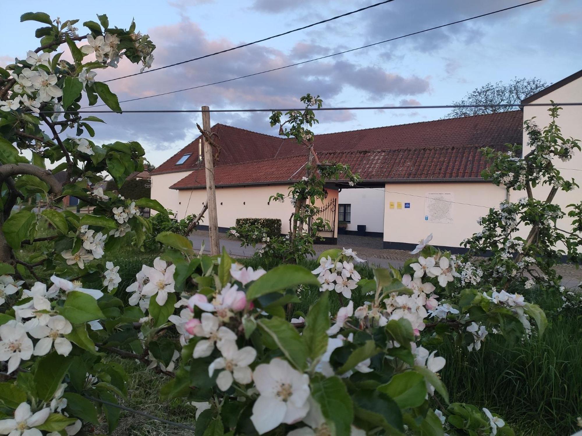 Het Hemelsveld Bed & Breakfast Hasselt Luaran gambar